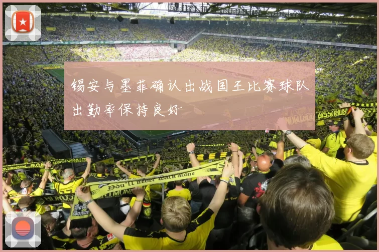 锡安与墨菲确认出战国王比赛球队出勤率保持良好