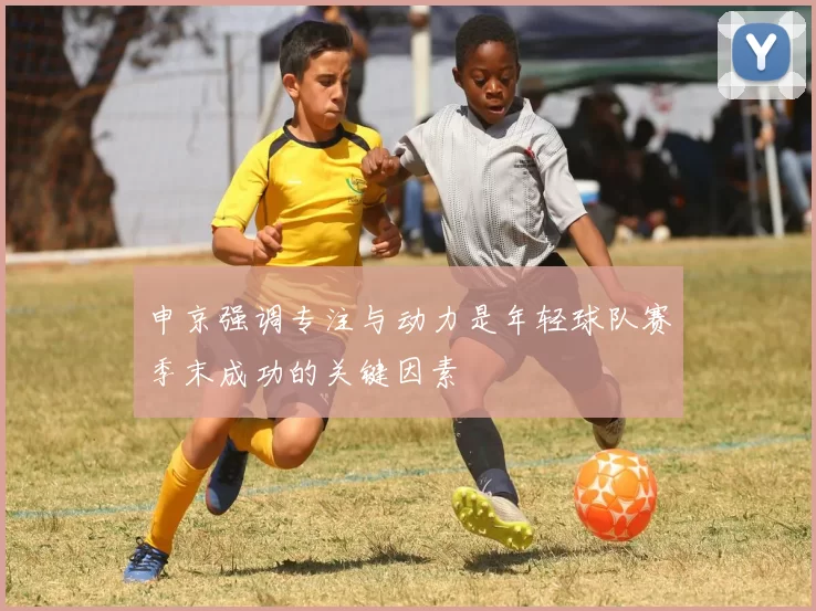 申京强调专注与动力是年轻球队赛季末成功的关键因素